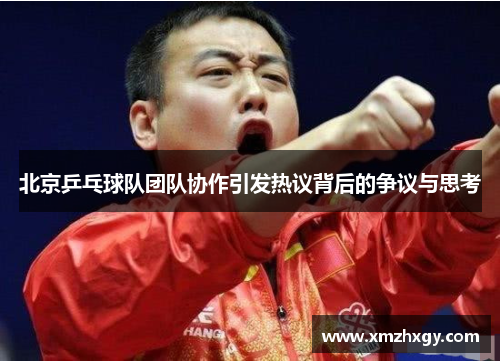 北京乒乓球队团队协作引发热议背后的争议与思考