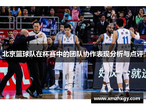 北京篮球队在杯赛中的团队协作表现分析与点评