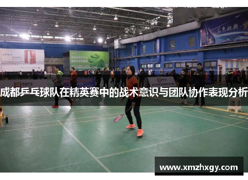 成都乒乓球队在精英赛中的战术意识与团队协作表现分析