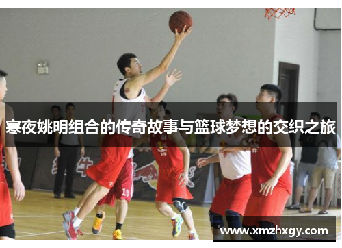 寒夜姚明组合的传奇故事与篮球梦想的交织之旅