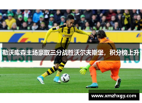 勒沃库森主场豪取三分战胜沃尔夫斯堡，积分榜上升