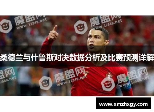 桑德兰与什鲁斯对决数据分析及比赛预测详解