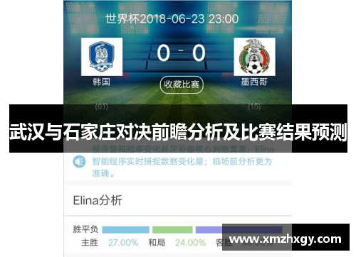 武汉与石家庄对决前瞻分析及比赛结果预测