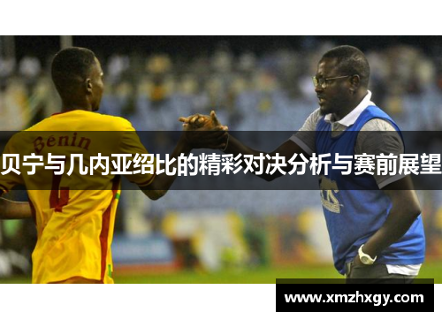 贝宁与几内亚绍比的精彩对决分析与赛前展望