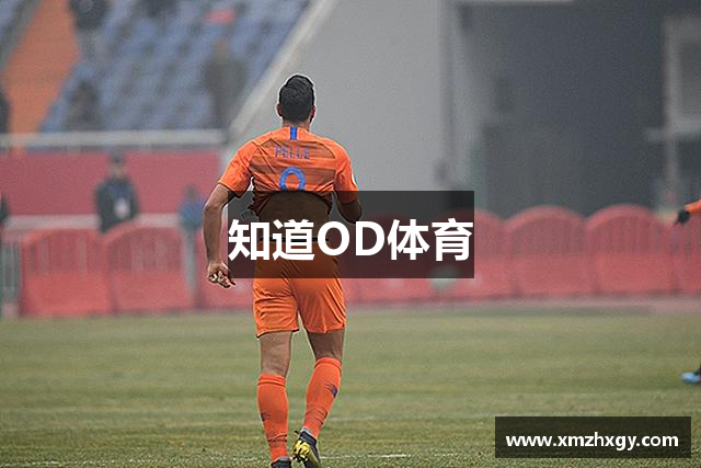 知道OD体育